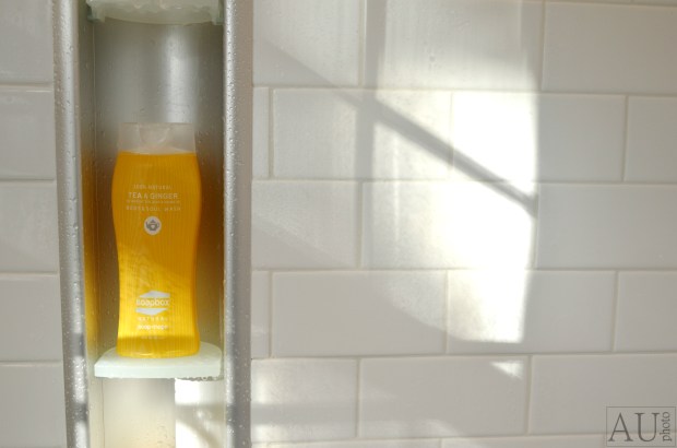 Tea and Ginger Soap Box Soaps Body Wash